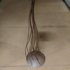 ALZATA COPPA ROMANA 2