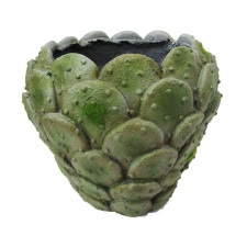 CACTUS VASO BASSO H24