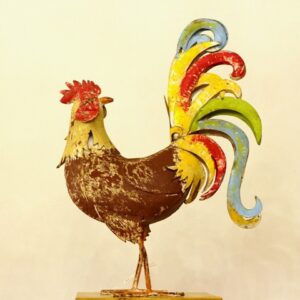 GALLO MULTICOLORE MEDIO