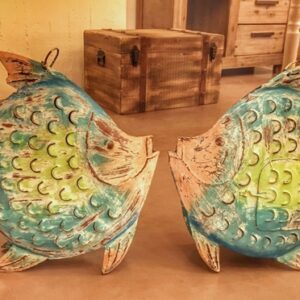 PESCE PALLA META GRANDE