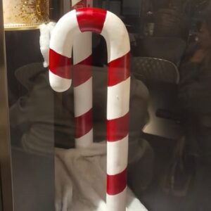 ASTA BASTONCINO GRANDE FAGONE